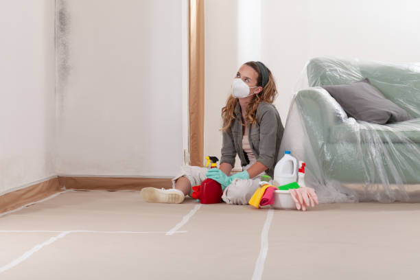 Reliable Commercial Mold Remediation contractor in Lyons, CO by WQB Mold Removal